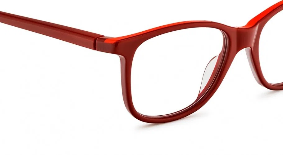 Etnia Barcelona SPRIG Eyeglasses - view 10